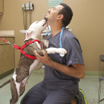 SPAYNEUTERCLINICPHX-61_2
