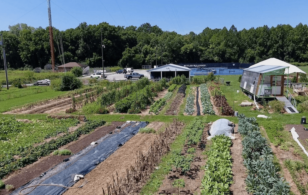 Getting To The Root of It How Butler’s OneAcre Farm Has Evolved In a