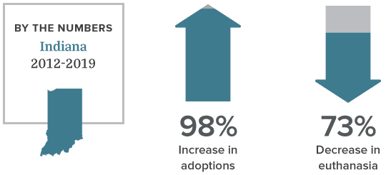 Indiana Animal Welfare by the Numbers