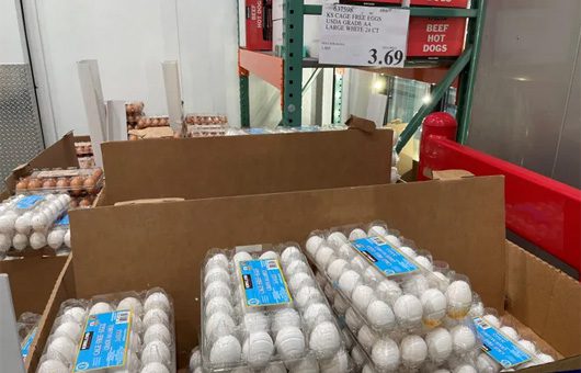 Avian flu Nina Mason Pulliam Trust