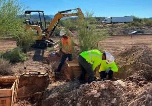 Crews at ADOT at work to salvage plants