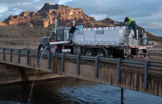 SRP canals, stretching water supplies for cities