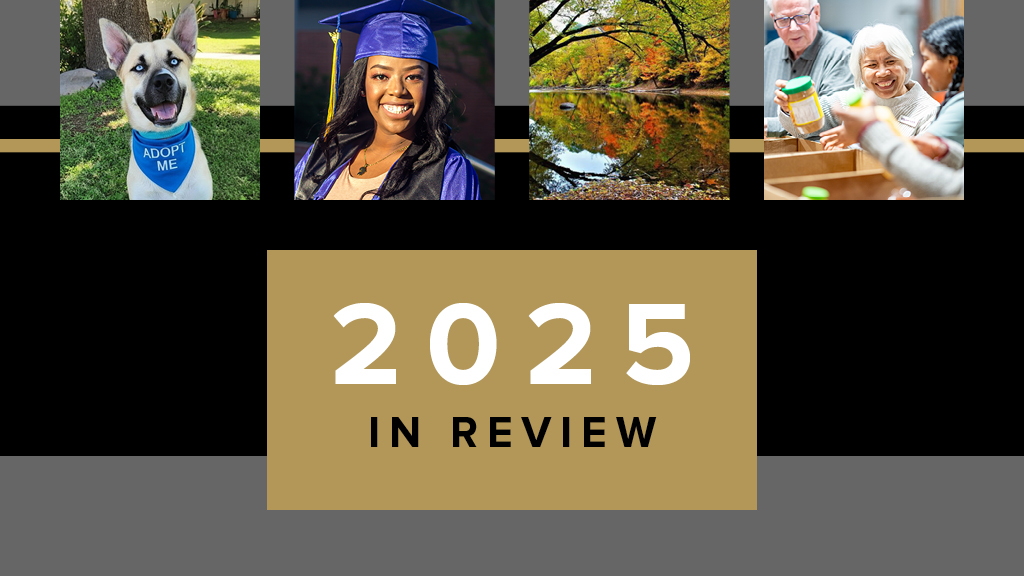 2025 Annual Report